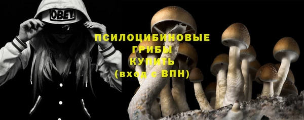 дживик Абаза