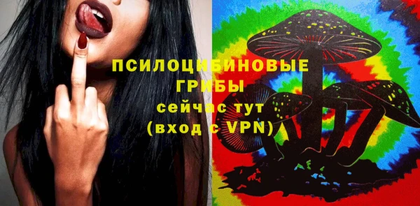 тгк Абдулино